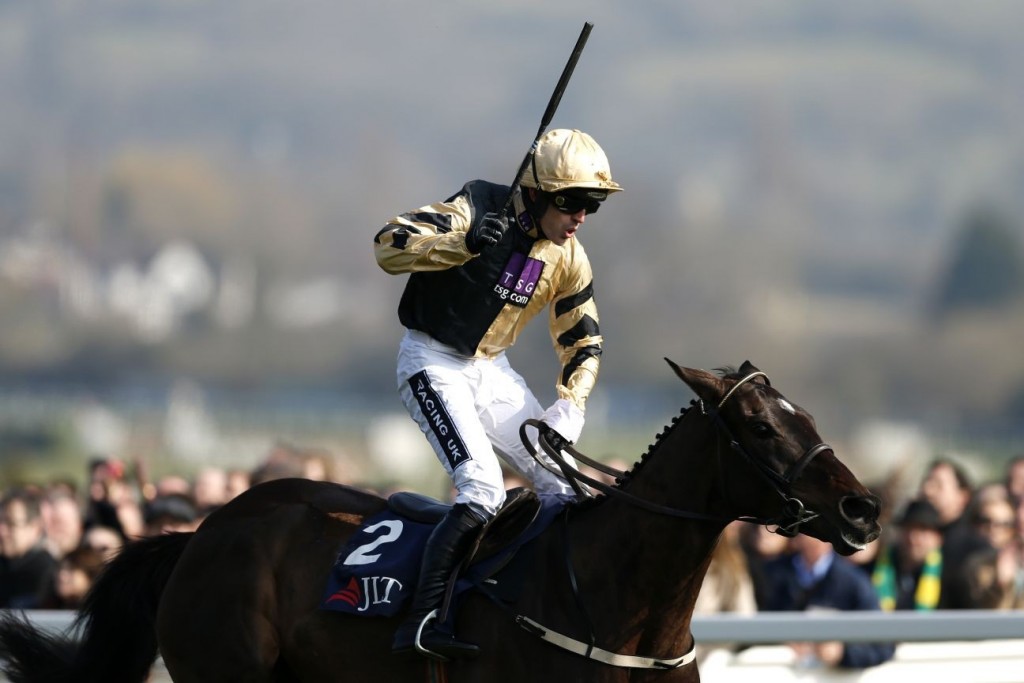 Black Hercules wins the 2016 JLT Novices' Chase at the Cheltenham Festival.