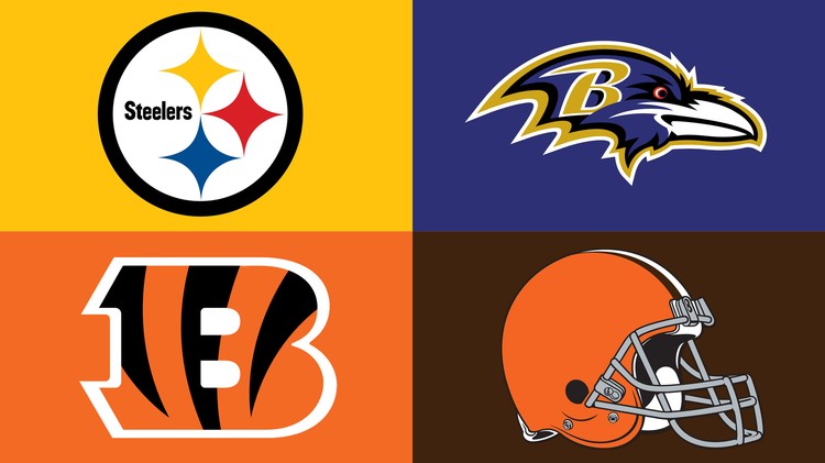 AFC North Teams