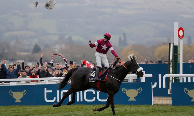 Don Cossack 2016 Gold Cup Winner